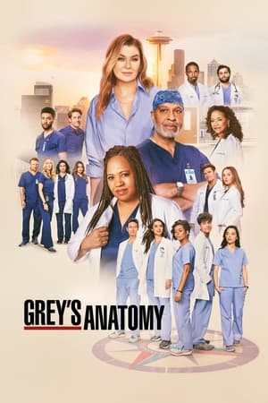 Grey's Anatomy (2005)